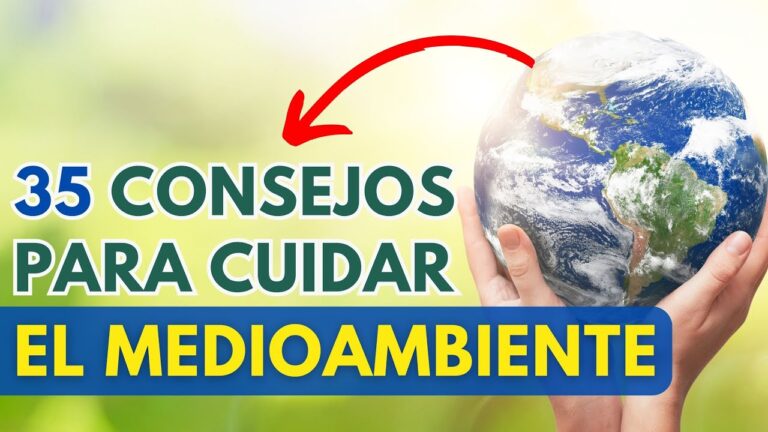 Gu&iacute;a de Compras de Productos Org&aacute;nicos en C&aacute;rtama