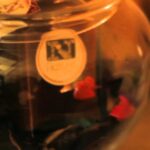 Centros de Reciclaje Disponibles en Total&aacute;n