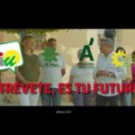 Ambiente en los Pubs de Málaga: Una Experiencia Única