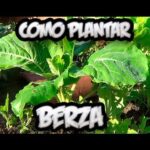 Material Escolar Ecol&oacute;gico: D&oacute;nde Comprar en Rinc&oacute;n de la Victoria