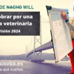 Cines Independientes en Pizarra: Una Gu&iacute;a Esencial
