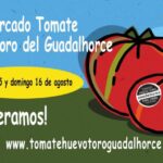 Cines Independientes en Pizarra: Una Gu&iacute;a Esencial