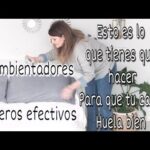 Guía para encontrar productos ecológicos en Cártama