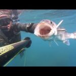 Mejores lugares para practicar kitesurf cerca de Pizarra