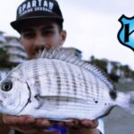 Mejores lugares para aprender a hacer surf cerca de Rincón de la Victoria