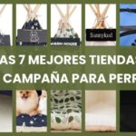 D&oacute;nde Encontrar Productos para Mascotas en Almog&iacute;a