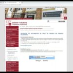 Opciones para Pagar el Impuesto de Veh&iacute;culos en Total&aacute;n