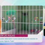 Mejores opciones para cursos de verano en Almogía