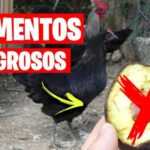 Mejores lugares para disfrutar un café en Málaga