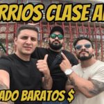 Los Barrios M&aacute;s Tranquilos de Benagalb&oacute;n