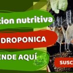 Dónde adquirir productos de comercio justo en Cártama