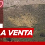 Conexión a Internet en Totalán: Análisis y Opiniones
