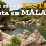 Rutas Gastronómicas Imperdibles en Cártama