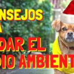 Opciones para Comprar Calzado en Total&aacute;n