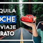 Opciones de Alquiler de Coches en Pizarra