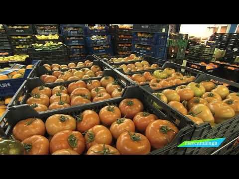 Gu&iacute;a para Comprar Productos de Comercio Justo en M&aacute;laga