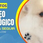 Gu&iacute;a para Registrar una Propiedad en Benagalb&oacute;n
