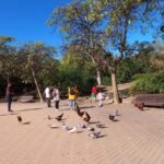 Zonas de Picnic Populares en C&aacute;rtama