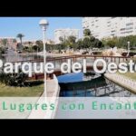Actividades Deportivas para Niños en Benagalbón: Asociaciones Recomendadas