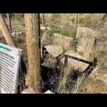 Rutas Hist&oacute;ricas en Benagalb&oacute;n: Un Viaje al Pasado